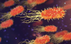 Les personnes se curant le nez à risque de développer démence et Alzheimer 