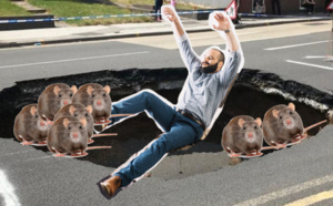 Il s’est retrouvé coincé dans un trou rempli de rats, après avoir fait une chute de 3 mètres