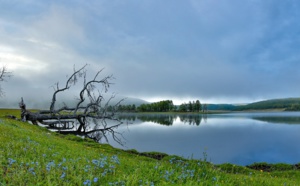 Ces petits lacs qui deviennent très inquiétants