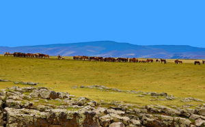 Zone Australe sur Antenne Réunion. <br>Mongolie: vivre comme les Nomades
