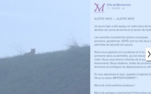 Panique: un tigre dans les rues près de Disneyland Paris!