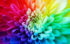 La chromothérapie: les couleurs soignent!