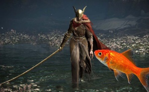 Elden Ring : un poisson rouge tombe la première phase de Malenia