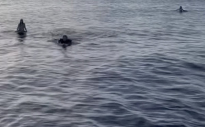 Quatre surfeurs australiens miraculés après deux jours de dérive