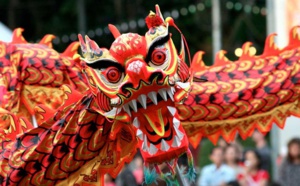 BONNE ANNEE DE LA CHEVRE <br>2015, Année de la Chèvre de Bois