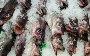 Macabre découverte dans une machine à glace sur un marché aux poissons