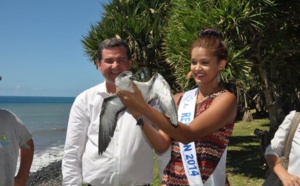 Réduire la pollution lumineuse avec les "Nuits sans Lumière" 