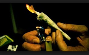 Le cannabis: de plus en plus pour les ados!