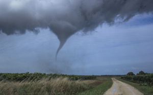 Un nourrisson miraculé: emporté par une tornade il échoue dans un arbre