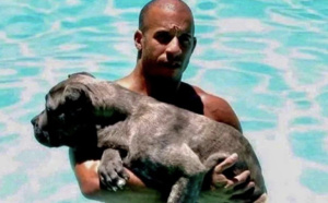 Vin Diesel accusé d'agression sexuelle