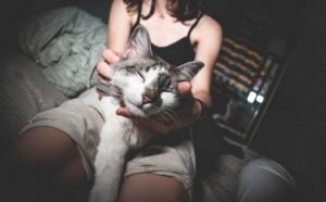 Incroyable: 6 ans après sa disparition, elle retrouve son chat