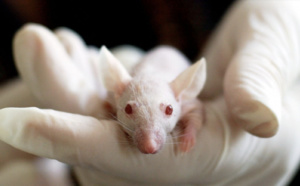 Un laboratoire chinois crée une souche mutante de la COVID-19 ultra tueuse