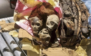 Il se fait arrêter avec des singes momifiés dans sa valise