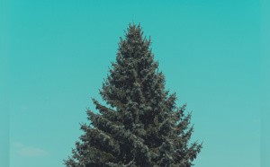 Son assurance refuse de lui donner 800.000 dollars après avoir découvert cette photo