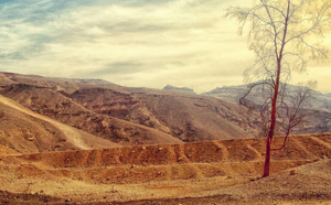 Températures record : mars est le dixième mois consécutif le plus chaud jamais enregistré dans le monde