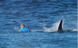 Attaque de requin en pleine compétition de surf