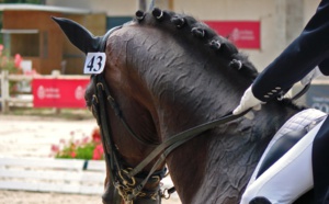 Scandale aux JO 2024 : une championne olympique accusée de maltraitance animale