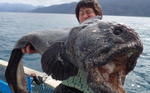 Un poisson effrayant pêché au large de Fukushima