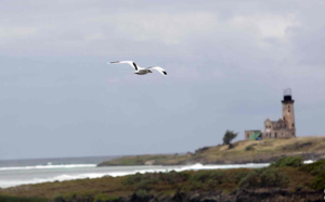 D'île en île (volet 2)<br>Les autres petites îles de Maurice