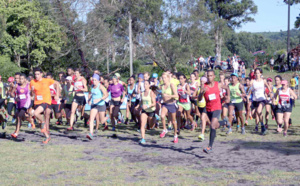 Championnat Régional de Cross<br>Hauss et Delchini sans surprise