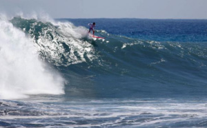 Gestion du risque requin<br>Saint-Leu choisit des acteurs privés, la Région réagit