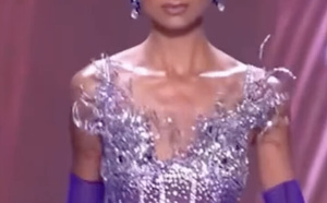 Pas de Miss France à Miss Univers 2026