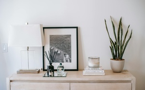 Plantes d’intérieur : ces alliées vertes qui purifient l’air et apaisent l’esprit