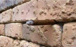 La photo mystère du mur: c'était...