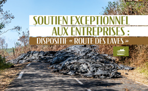 Soutien exceptionnel aux entreprises : dispositif "Route des laves"