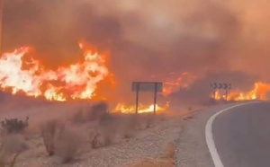 Incendie en Andalousie : une Française parmi les 13 victimes d'un drame qui bouleverse l'Espagne