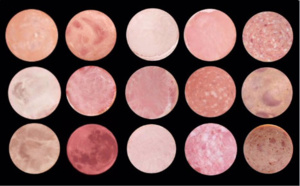 Photo mystère: où est le jambon, où est la lune?