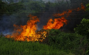 Incendies en France : près de 98 000 hectares partis en fumée depuis janvier, un bilan jamais atteint
