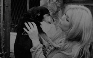 Brigitte Bardot : la vente de ses objets personnels provoque la colère de son dernier mari