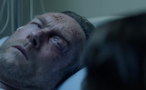 La poignante campagne 2016 de 30 Millions d'Amis