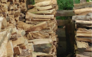 Photo buzz: où est le chat?