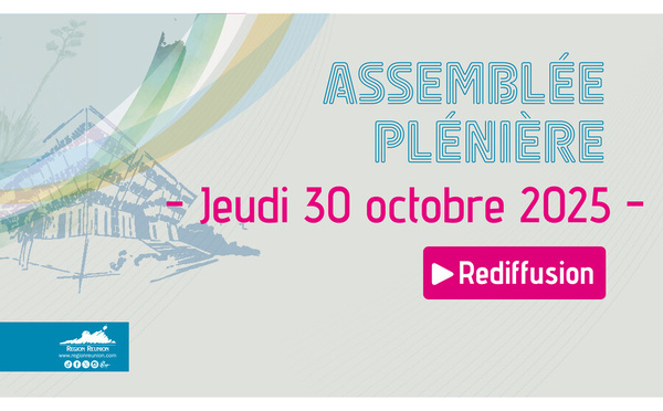 Assemblée plénière - 30 octobre 2025