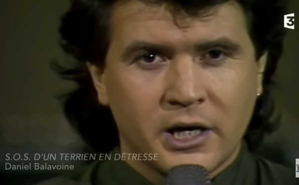 Daniel Balavoine : quarante ans après sa mort, une voix qui ne s’éteint pas