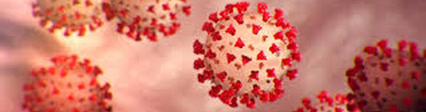 Variant “Cicada” : ce nouveau Covid qui intrigue et inquiète