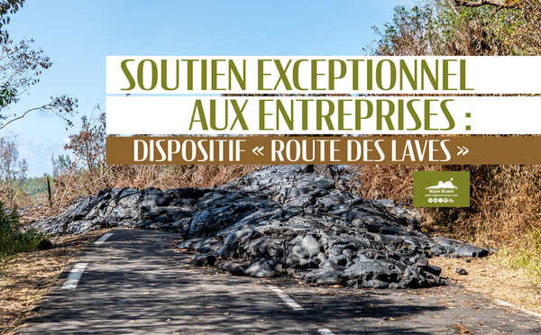 Soutien exceptionnel aux entreprises : dispositif "Route des laves"