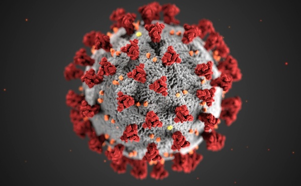 Hantavirus en Argentine : le mystère autour de la contamination continue d’inquiéter