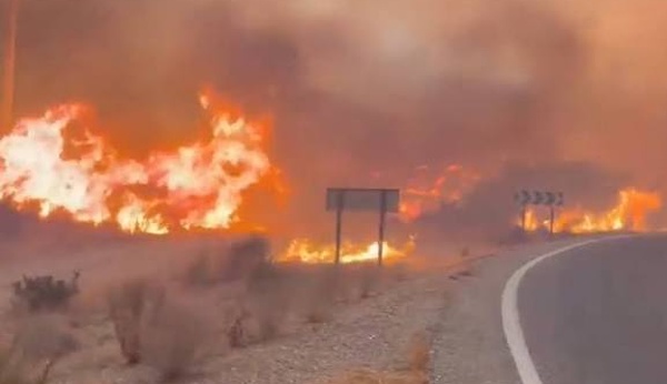Incendie en Andalousie : une Française parmi les 13 victimes d'un drame qui bouleverse l'Espagne