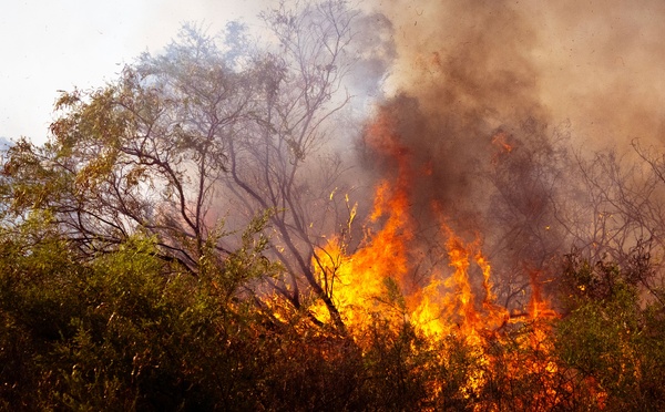 Incendies dans le Var : le feu est désormais maîtrisé entre Taradeau et Les Arcs, mais la menace reste bien présente