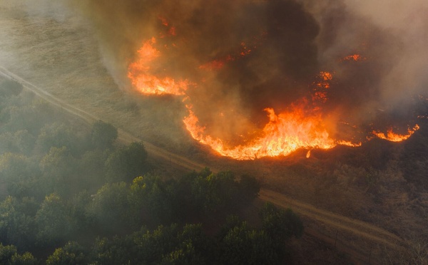 Incendies volontaires : qui sont les personnes interpellées depuis le début de l'été ?