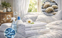 Changer ses draps très régulièrement : un enjeu d’hygiène souvent sous-estimé