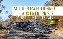Soutien exceptionnel aux entreprises : dispositif "Route des laves"