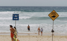 Australie : un homme de 39 ans tué lors d’une attaque de requin près de la Grande Barrière de corail