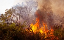 Incendies dans le Var : le feu est désormais maîtrisé entre Taradeau et Les Arcs, mais la menace reste bien présente