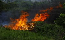 Incendies en France : près de 98 000 hectares partis en fumée depuis janvier, un bilan jamais atteint