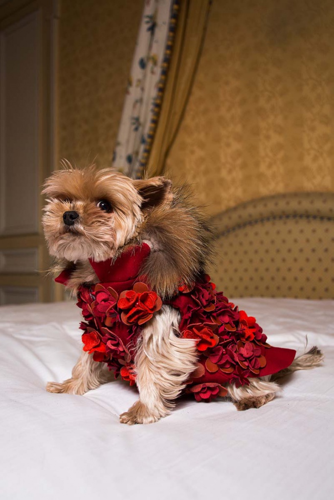 22_Collection Automne-Hiver 2017:2018